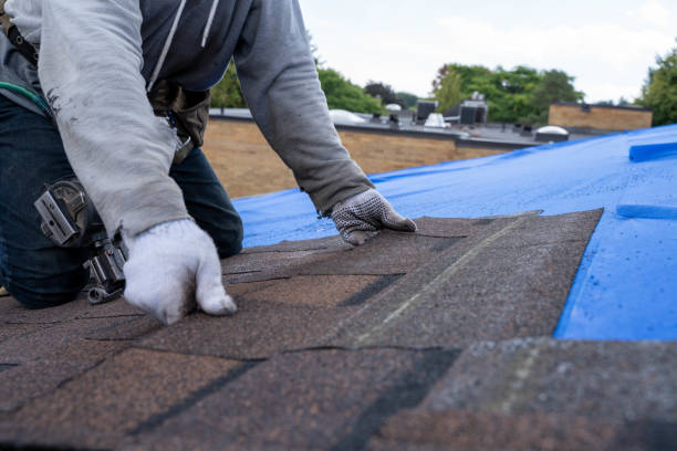 Best Roof Waterproofing Services  in The Hammocks, FL