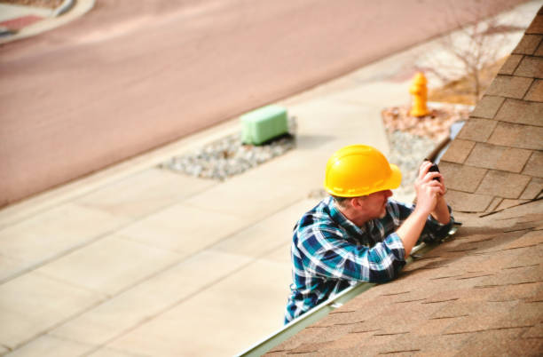 Roof Gutter Cleaning in The Hammocks, FL