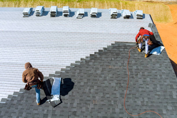 Best Shingle Roofing Installation  in The Hammocks, FL